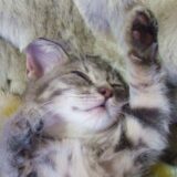 「リストカットがしたい、でもやめたい･･･」試してみたい代替行為５つ