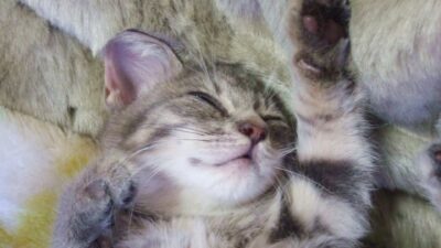 「リストカットがしたい、でもやめたい･･･」試してみたい代替行為５つ